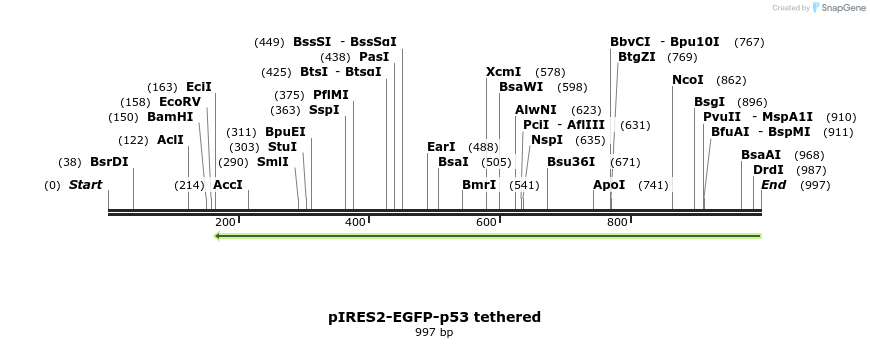 73780_map