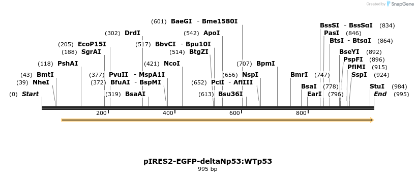 73788_map