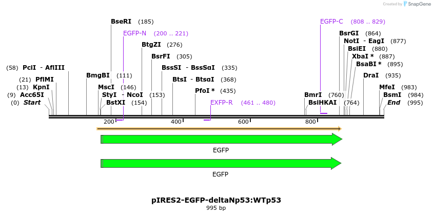73789_map