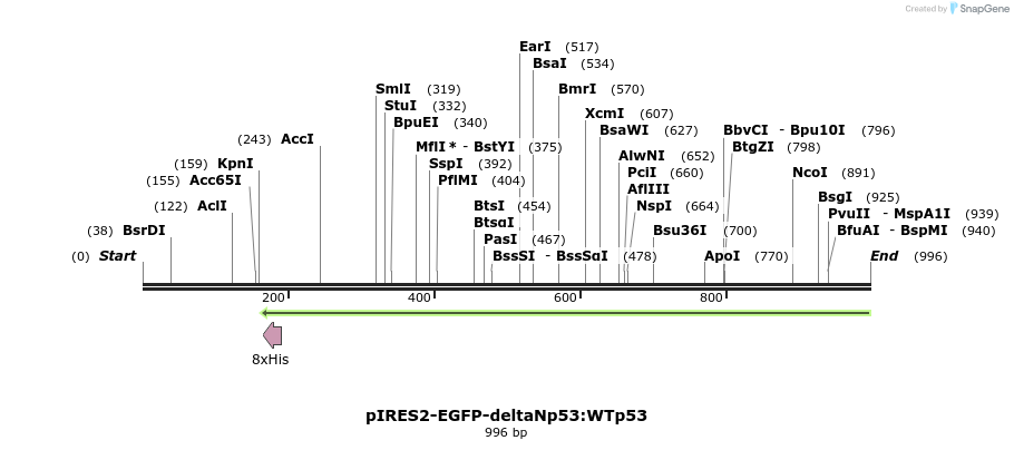 73790_map