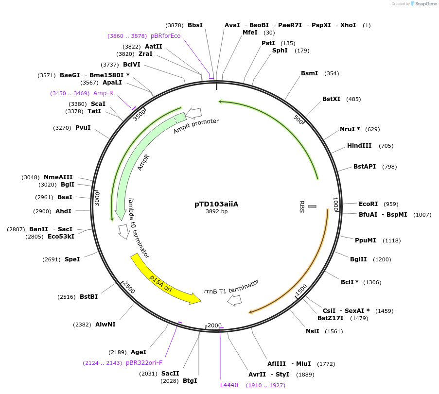 73801_map