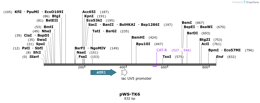73805_map