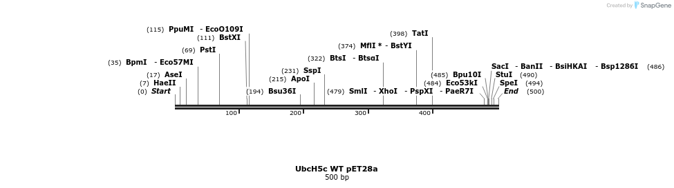 7381_map