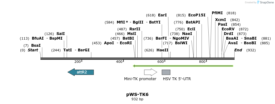 73811_map