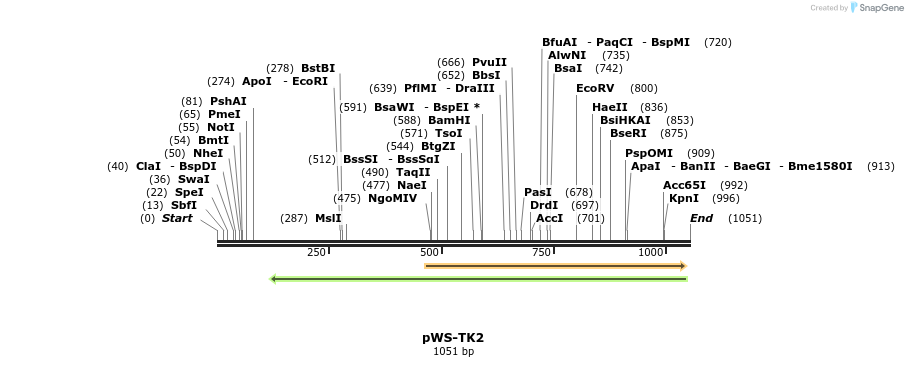 73815_map