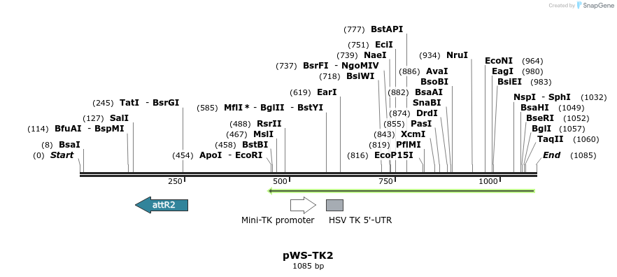 73816_map