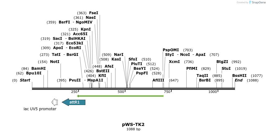 73817_map