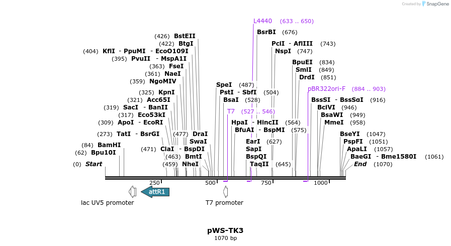 73818_map