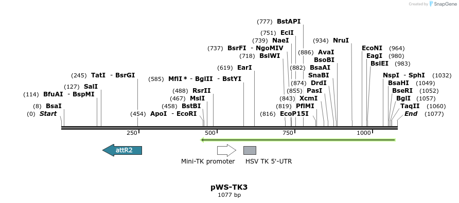73819_map