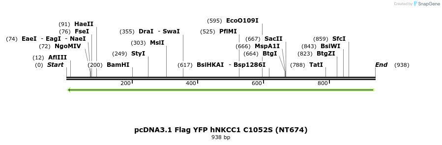 73820_map