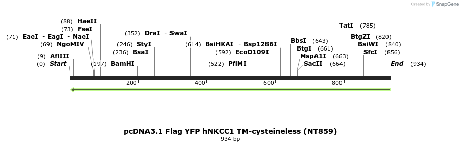 73821_map