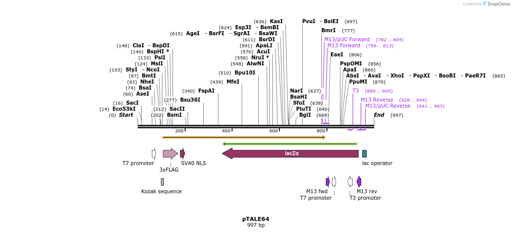 73822_map