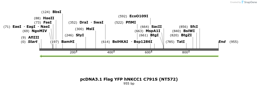 73824_map