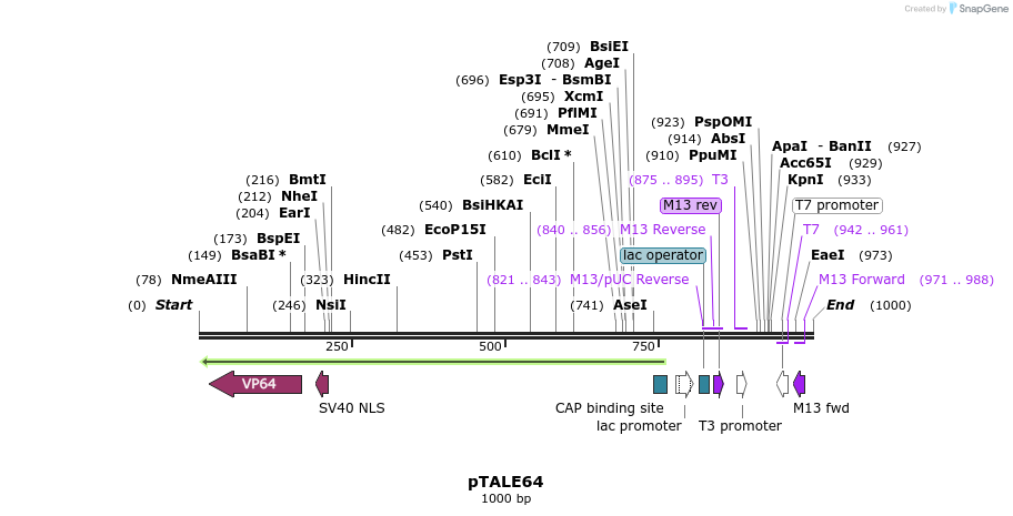 73826_map