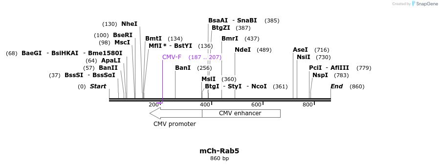 73831_map