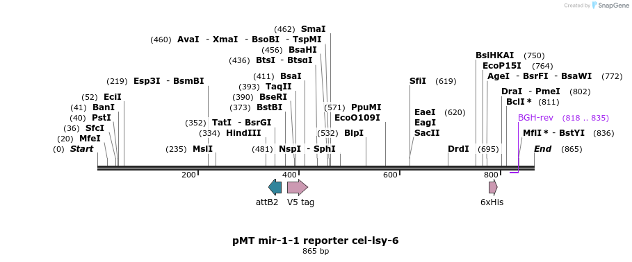 73841_map
