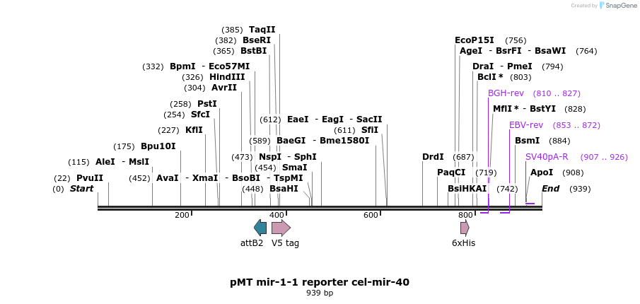 73844_map