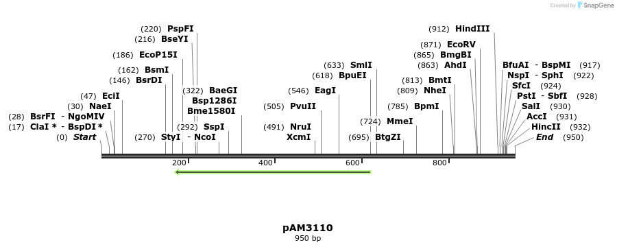 73849_map