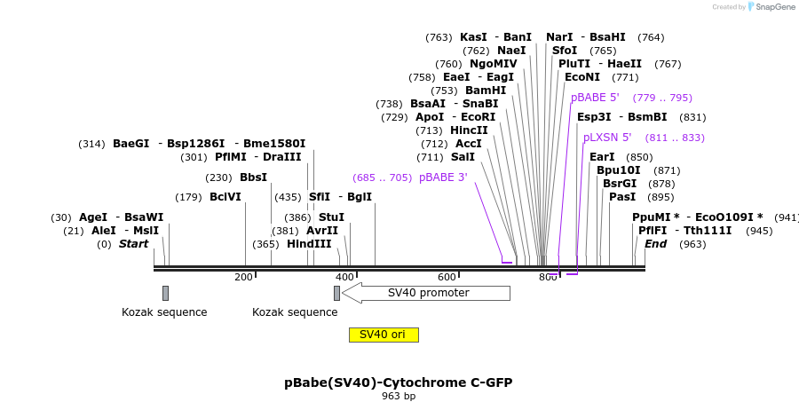 73850_map