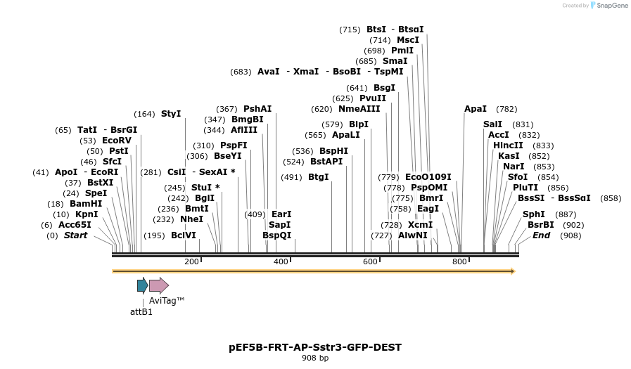73853_map