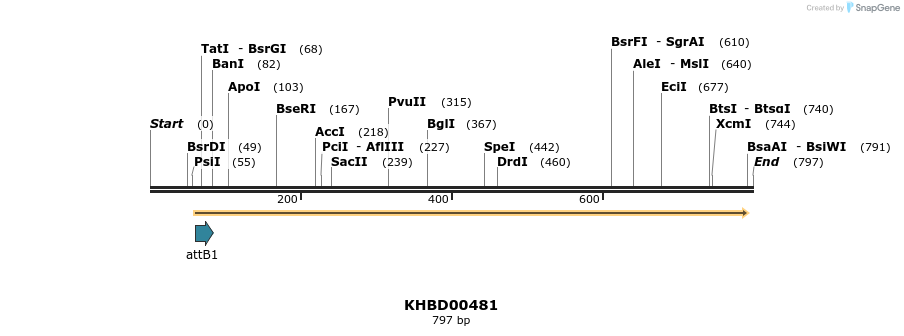73856_map