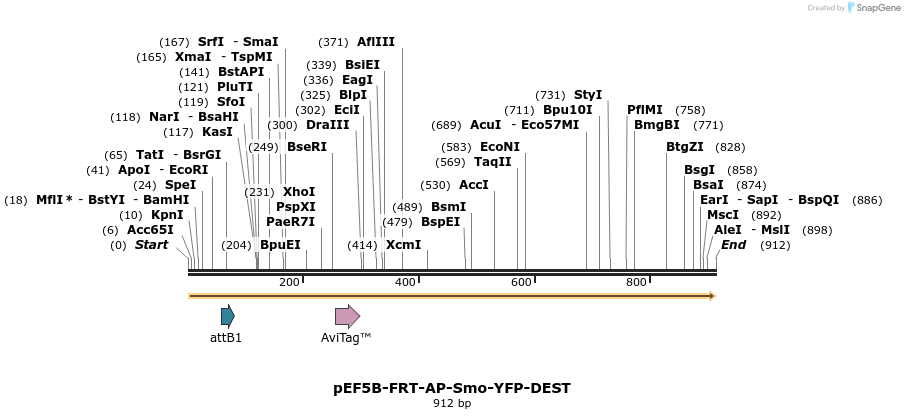 73857_map