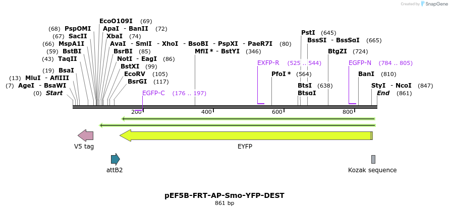 73858_map