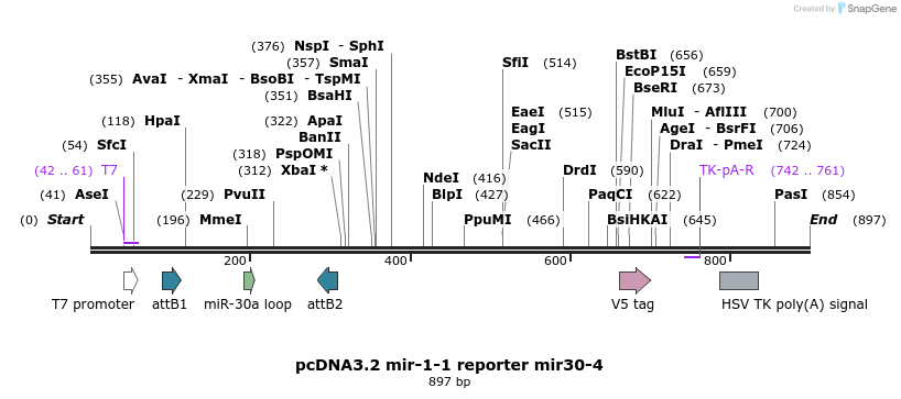 73862_map