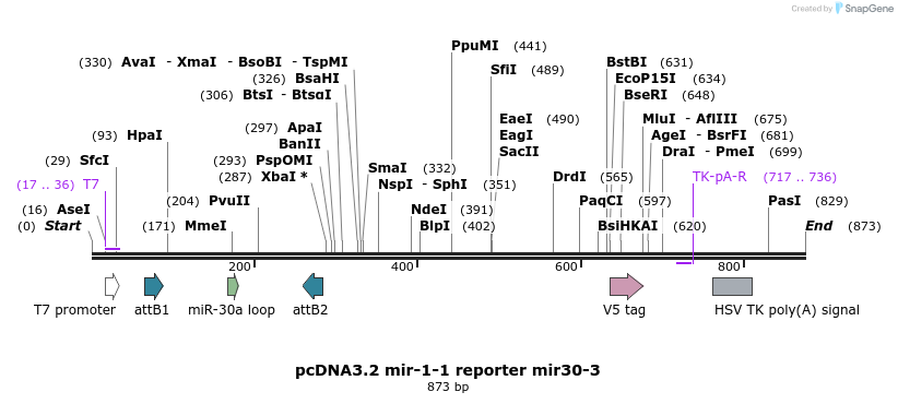 73864_map