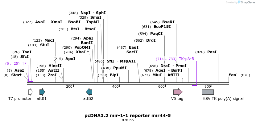73868_map