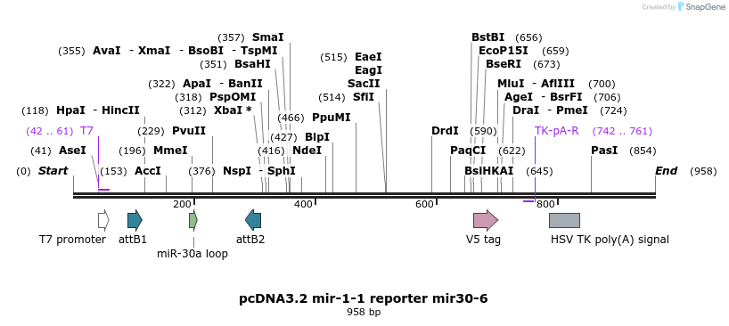 73869_map