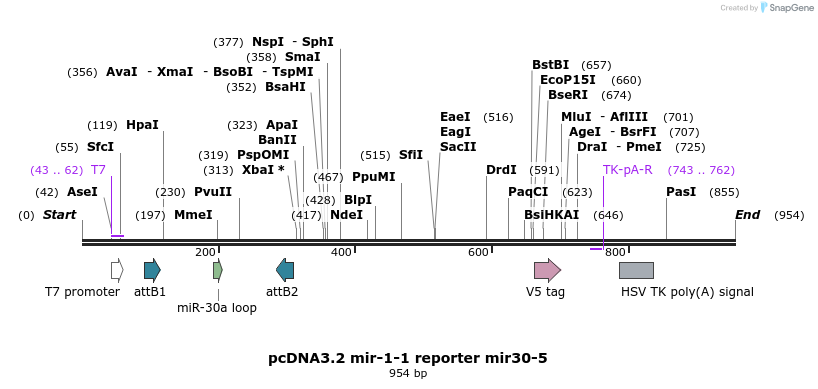 73873_map