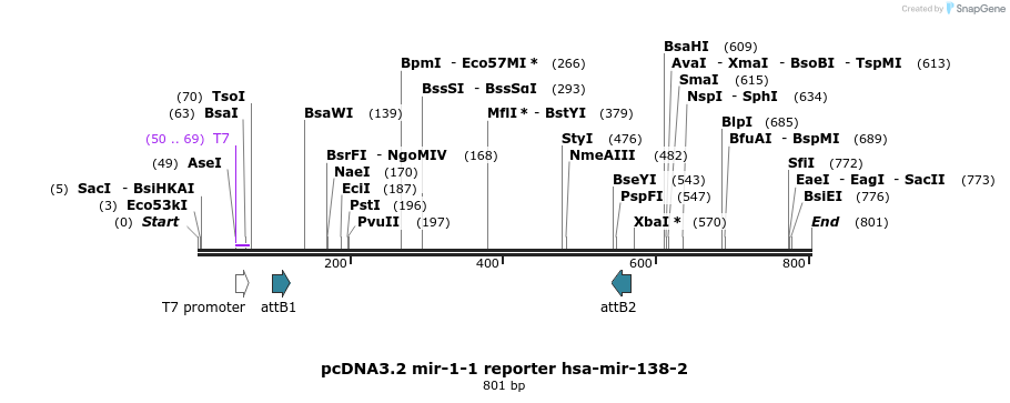 73877_map
