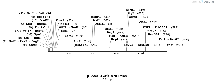 73878_map