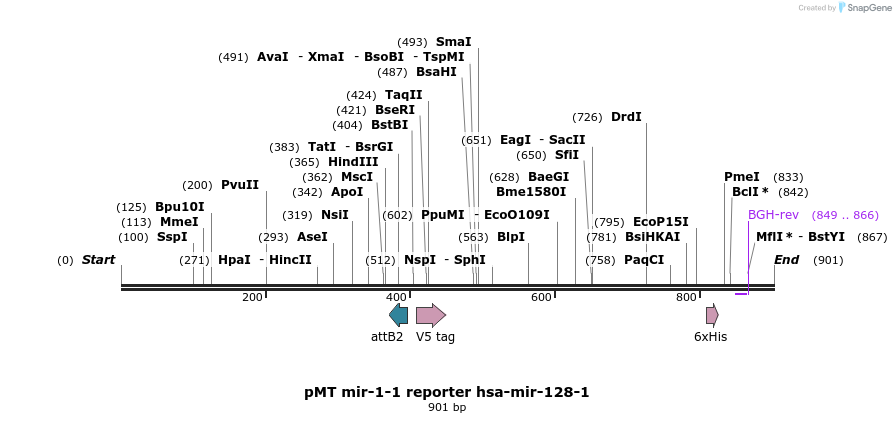 73879_map