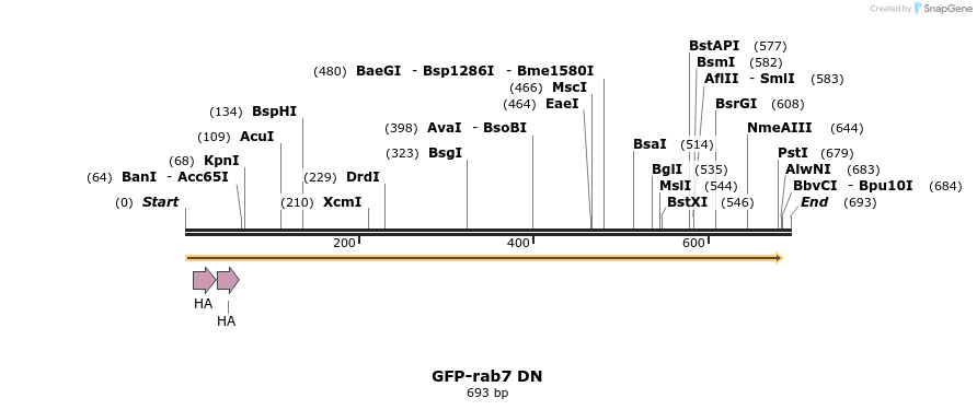 7388_map