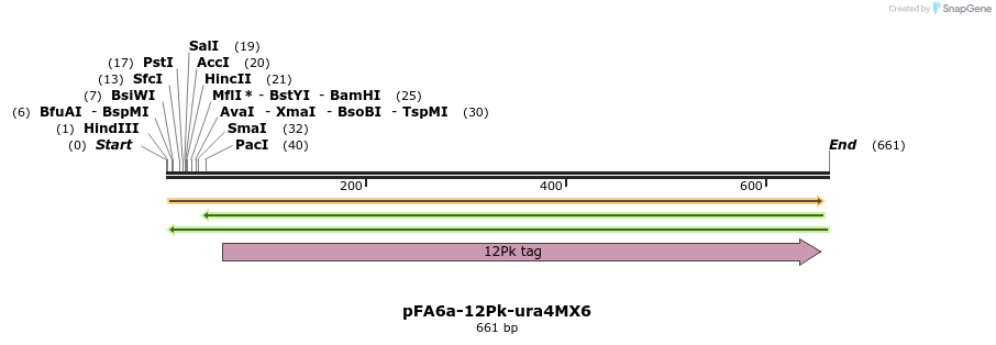 73880_map
