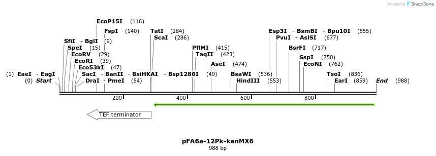73883_map