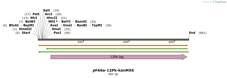 73886_map
