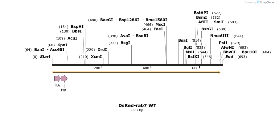 7389_map