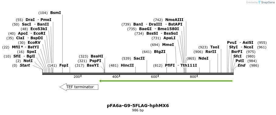 73890_map