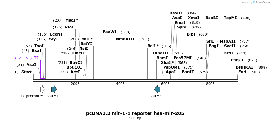 73903_map