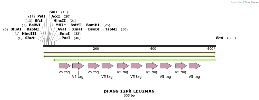 73908_map