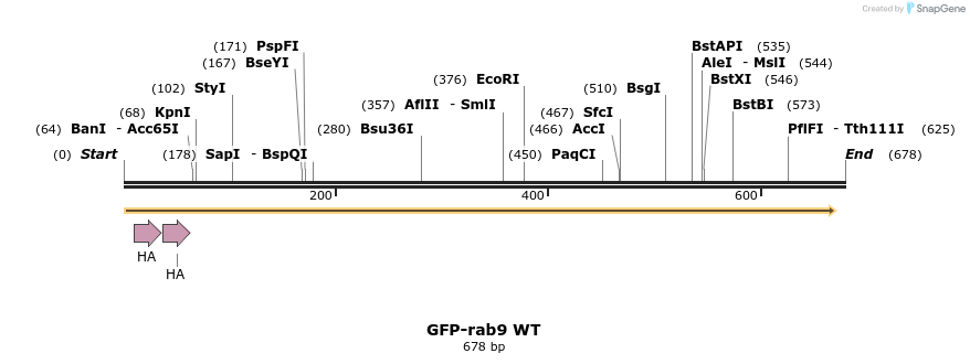 7391_map