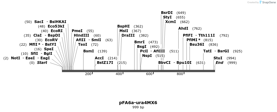 73912_map