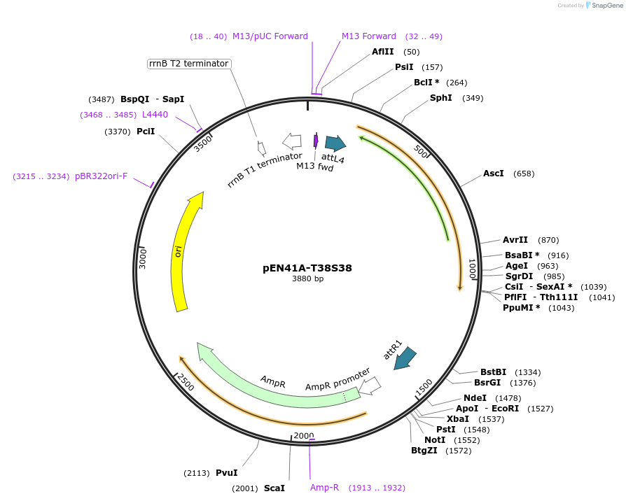73916_map