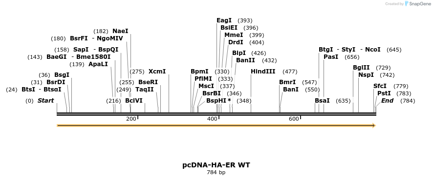 73919_map