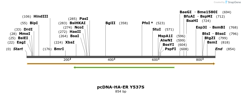 73921_map