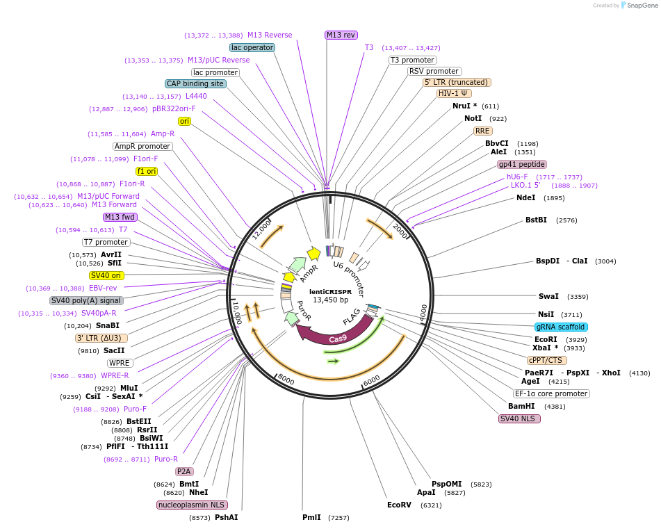 73924_map