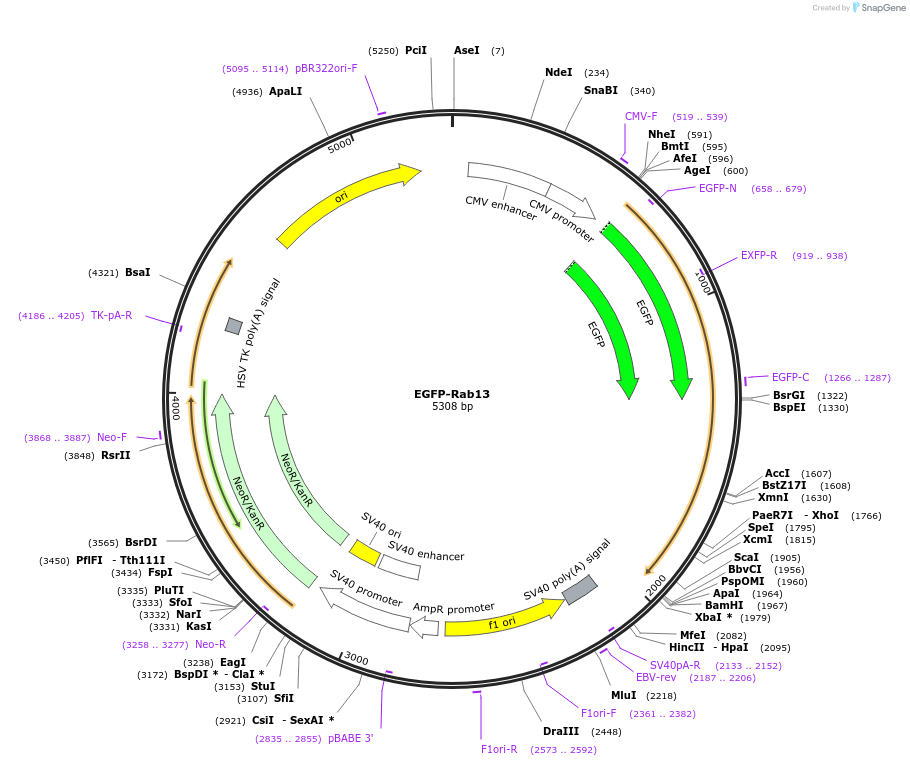 73940_map